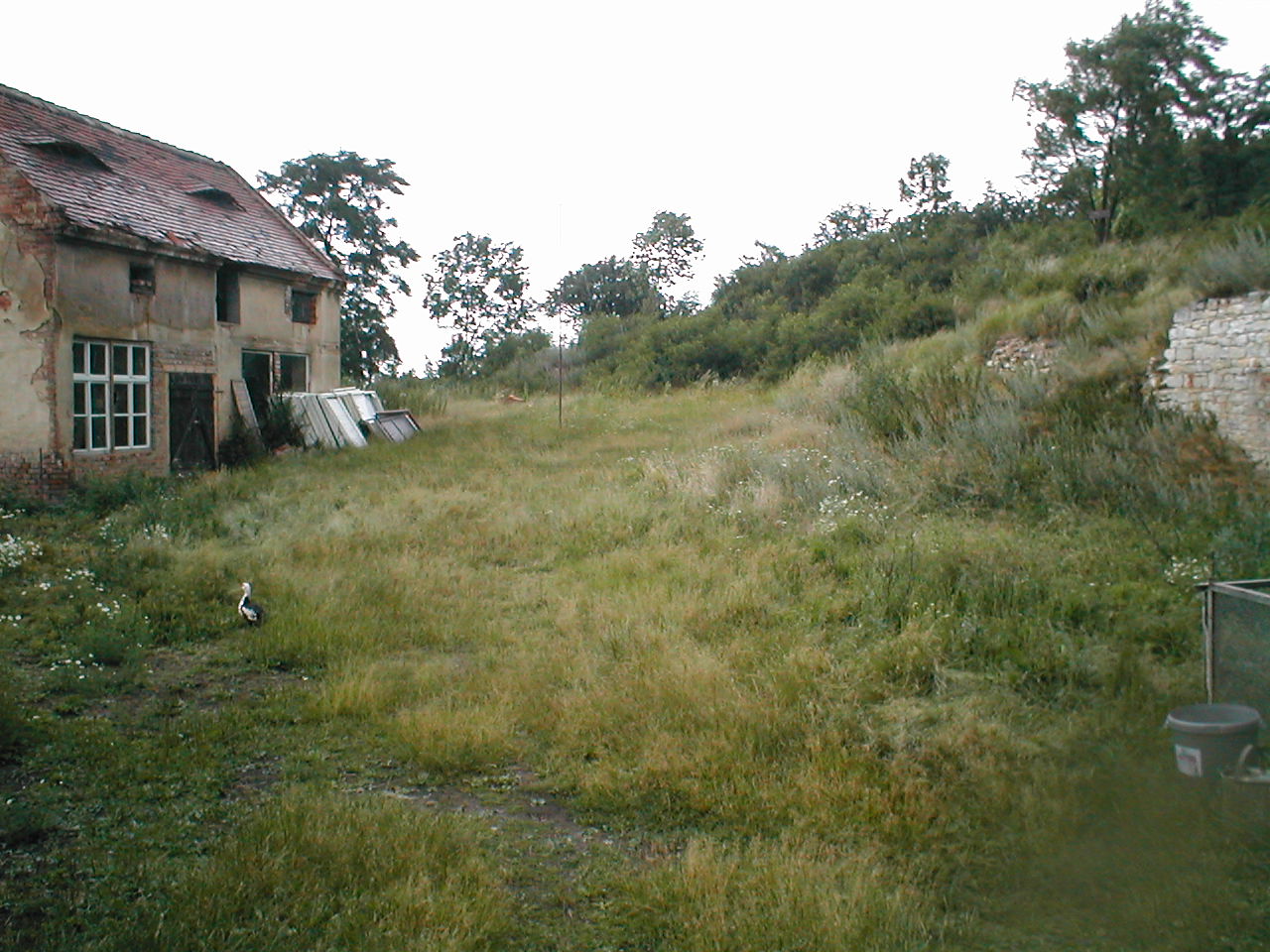 Menčí plac, kde by mohl být el.ohradník nebo vypuštěn kůň...