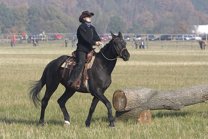 Fotka z naší první HUbertovy jídzy ze dne25.10.2008, krásaa.