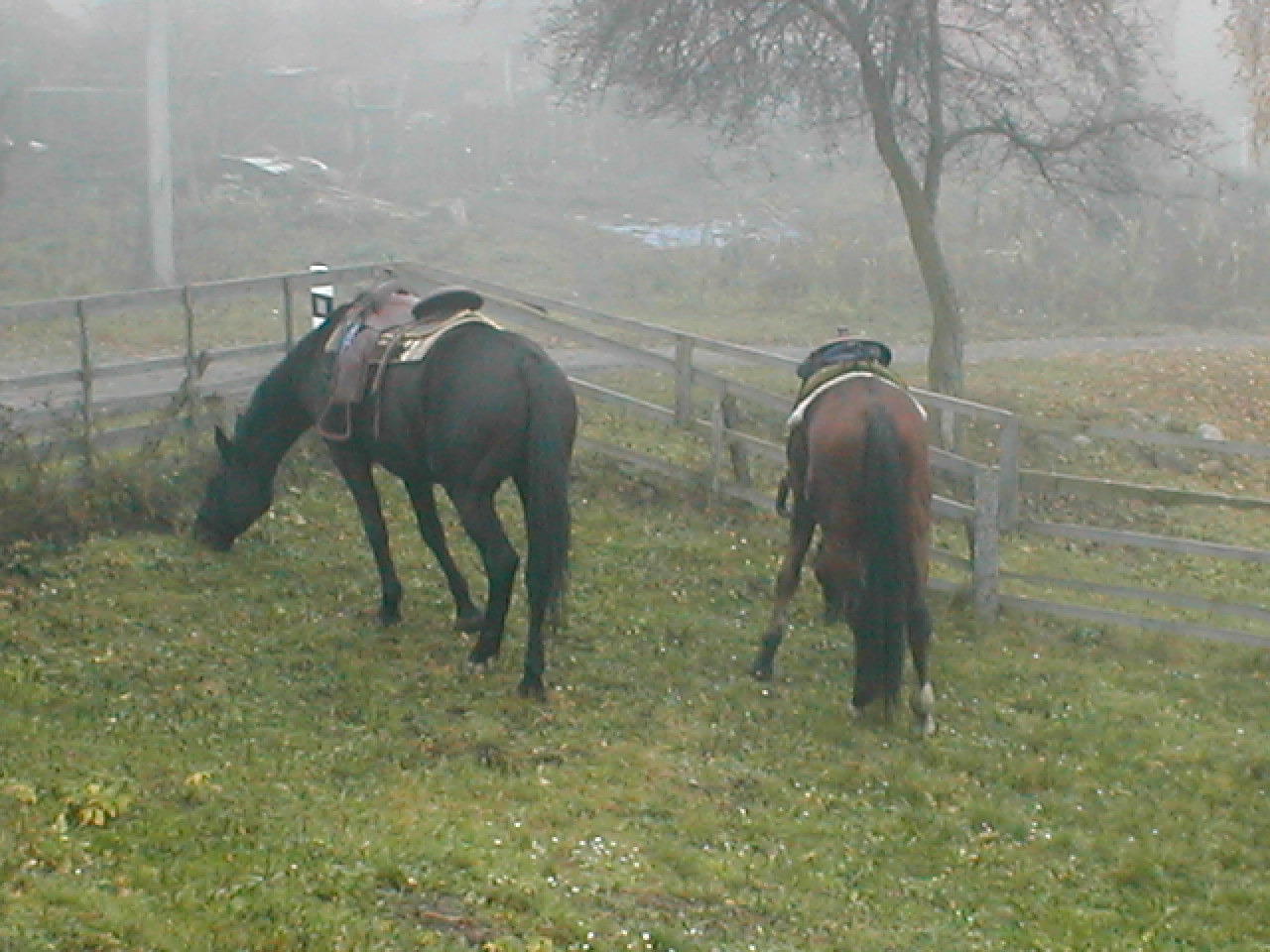 Rochea a Bobešek...